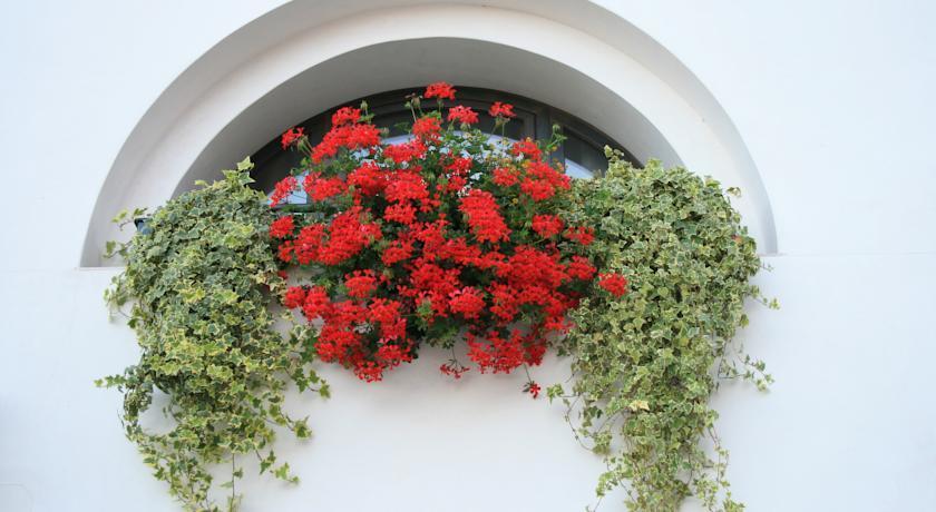 Al Bagolaro Bed & Breakfast Crocetta del Montello Exterior foto