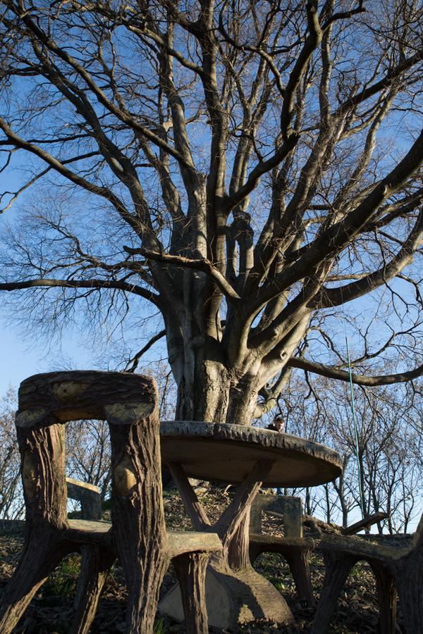 Al Bagolaro Bed & Breakfast Crocetta del Montello Exterior foto
